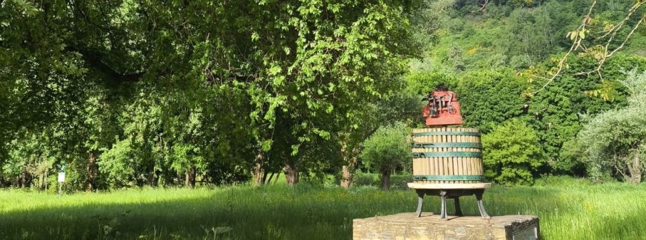 Weinstand Kelter am Saarstrand