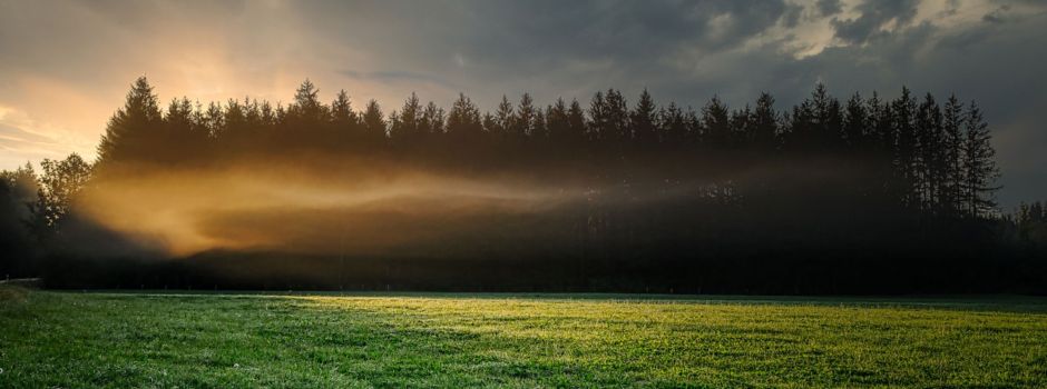 Jahresversammlung der Jagdgenossenschaft am 21.03.2025