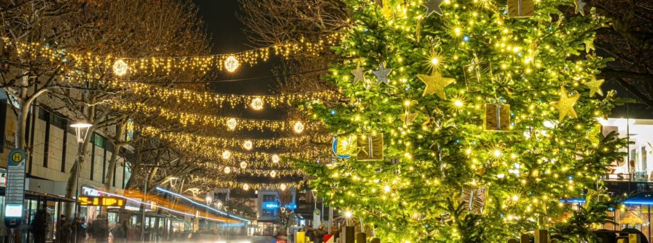 Hier haben Mainzer Kinder in den Weihnachtsferien freien Eintritt