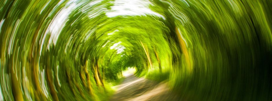 Mit 4,4 Promille in Wiesbaden unterwegs: Autofahrer flüchtet nach Unfall