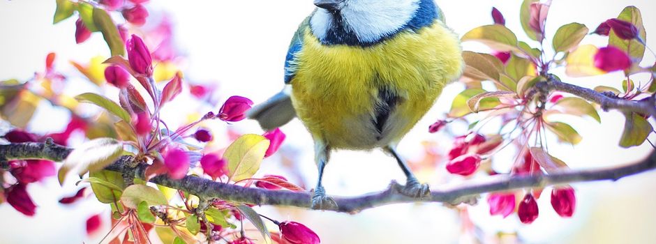 Frühlingsempfang am 29.03.2026 abgesagt