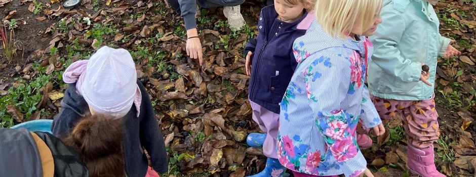 "Kleine Strolche" auf großer Nussjagd