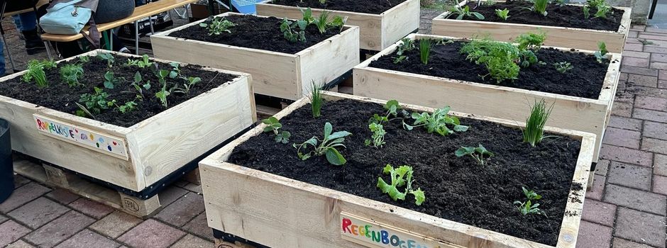 Ernte im Hochbeet