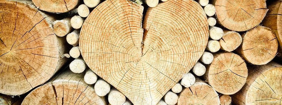 Brennholz
