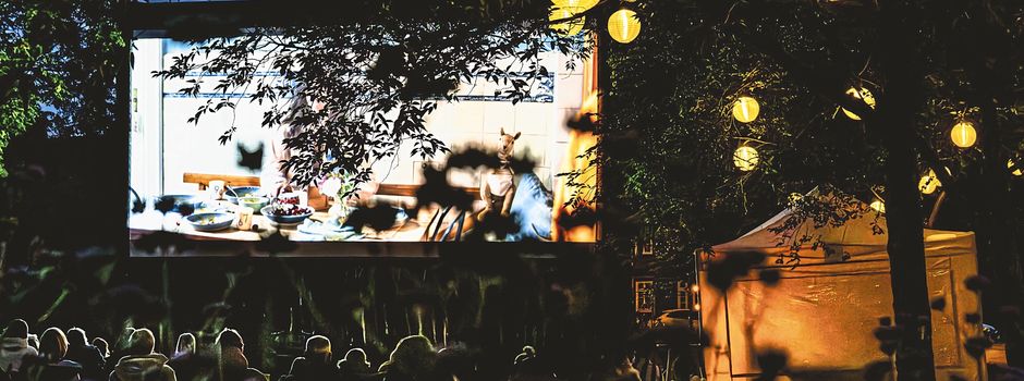Open-Air-Sommerkino in Soltau: Filmfreunde können abstimmen