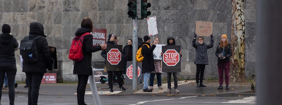 Aktivisten protestieren in Mainzer Altstadt