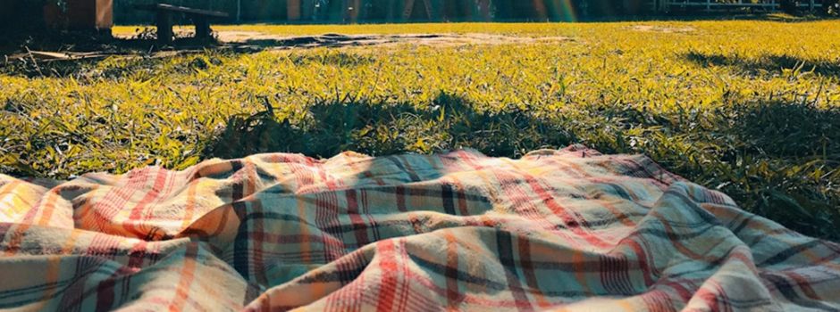 Bunter Nachmittag im Grünen: Großes Familienpicknick im Niersteiner Stadtpark