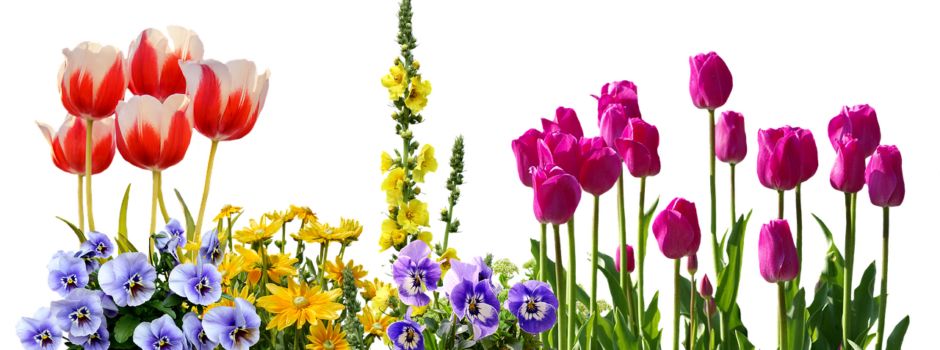 Bepflanzung der Gräber im hinteren Grabfeld