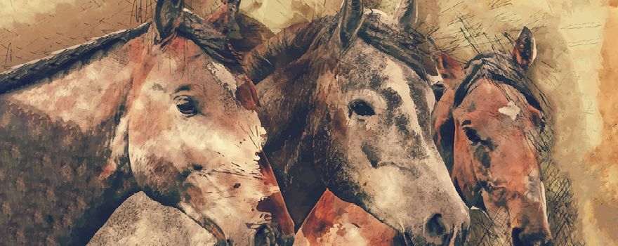 Unser Film zum Leonhardusritt 🎥