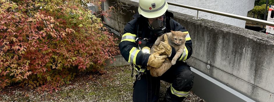 Feuerwehr rettet Menschen und Katzen aus brennender Wohnung in Ingelheim