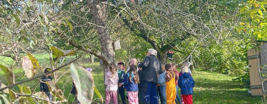 Naturtag der Merianschule an der Strohburg