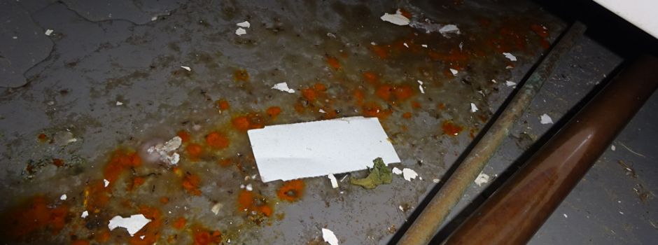 Wegen Schädlingsbefall und Hygiene-Mängeln: Mehrere Betriebe geschlossen