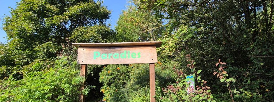 Gemeinsam fürs „Paradies“: Lilofee e. V. ruft zu Aktionstagen in Oppenheim auf