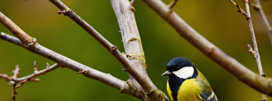 Winterstimmung und erste Frühlingsgefühle