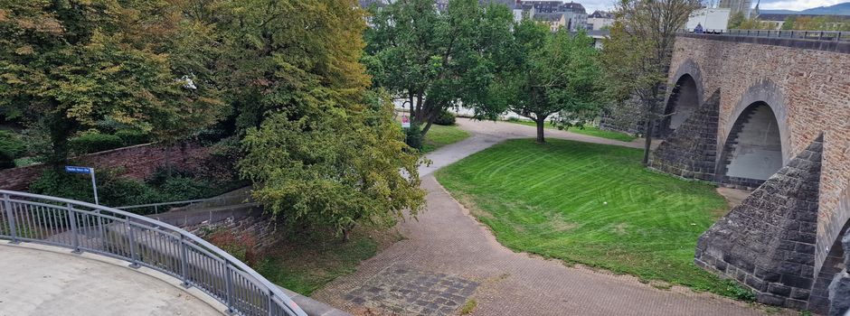 Koblenzer Verein plant neuen Weingarten an der Mosel