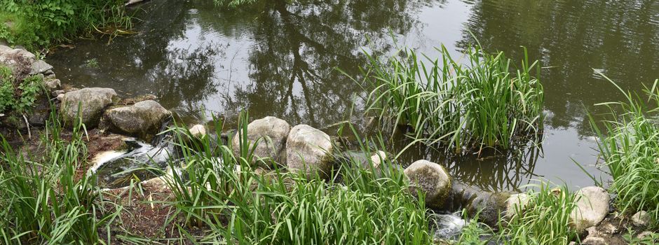 Wanderung am Brohmer Stausee: Geschichte und Natur erleben