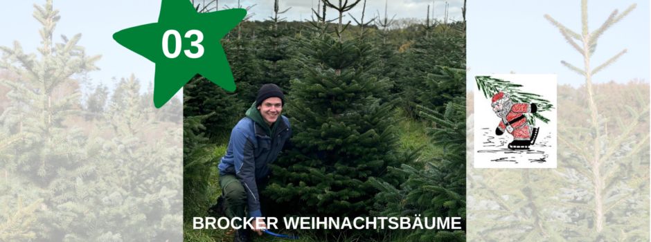 Adventskalender Tag - 03 - Brocker Weihnachtsbäume