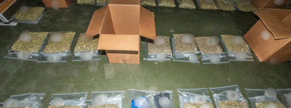 Mainzer Polizei zerschlägt bundesweites Drogen-Netzwerk