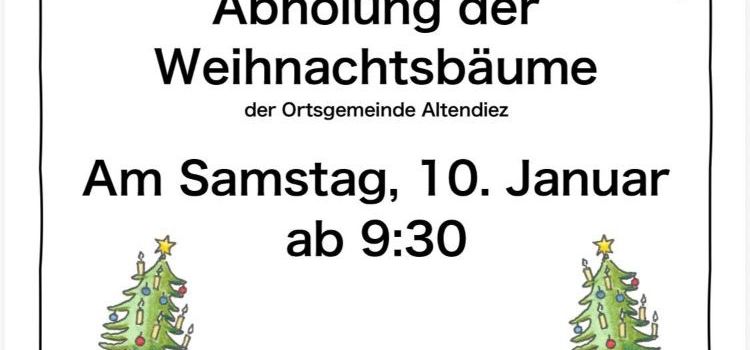 Abholung der Weihnachtsbäume 