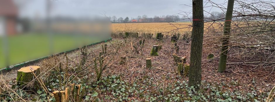 Rückschnitt von Grünstreifen zur Verkehrssicherheit 🚧🌿