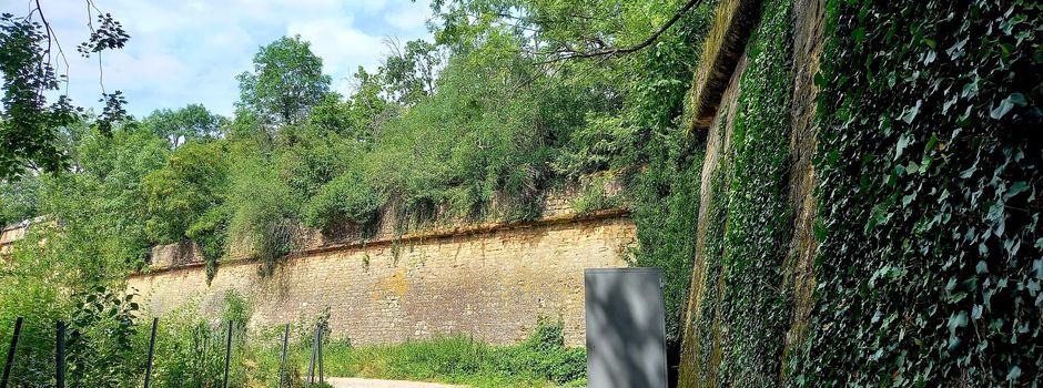 Jahrelange Sperrung: Beliebter Weg in Mainz nicht mehr passierbar