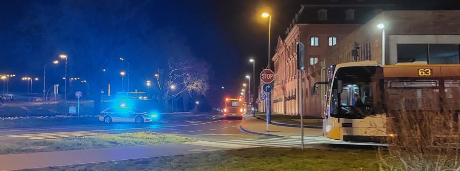 Wildschwein in Mainz erschossen: Musste das wirklich sein?