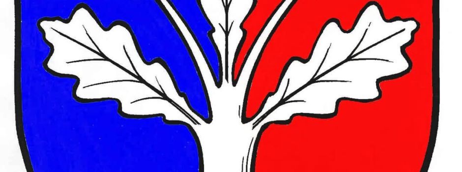 Wahlhelfer für den Bürgerentscheid am 18.05.2025 gesucht!