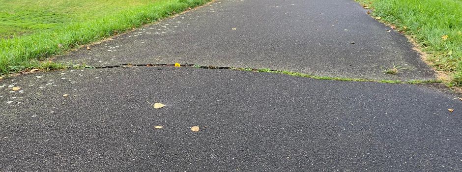 Radwegerneuerung auf dem Deich zwischen Niederkassel-Ort und Rheidt