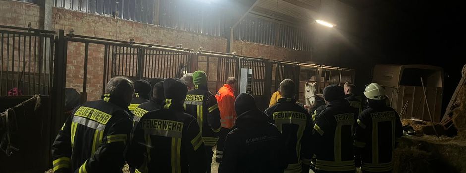 Übungsdienst Großtierrettung