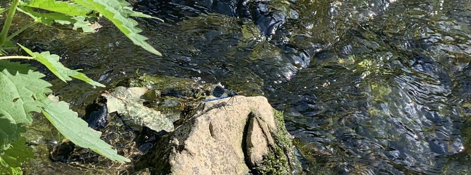 Wasserentnahme aus Gewässern einschränken