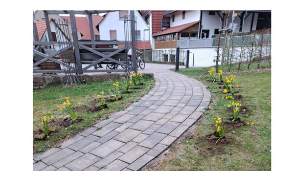 Neue Konfis lassen Weg zur Kirche "erblühen"