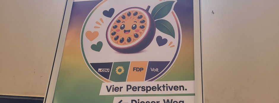 Posten-Krimi in Wiesbaden: Diese Dezernenten müssen gehen