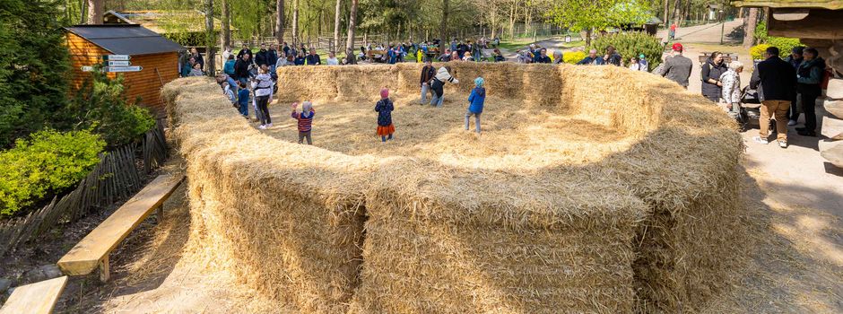 Hasenschule zu Ostern