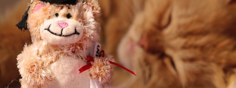 In Gedenken an die CampusCat: Die traurigen Jodel aus Augsburg