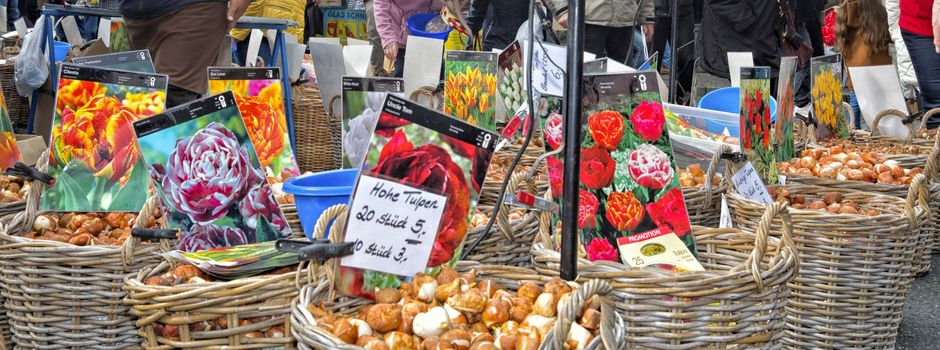 Katharinenmarkt 2023