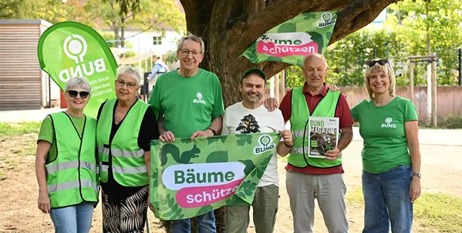 Treetag-Day in Bodenheim: Alte Eiben als Klimahelden und Geschichtszeugen
