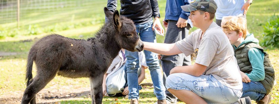 Freier Eintritt mit Jahreskarte in den jeweils anderen Einrichtungen
