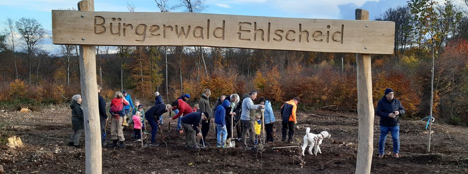 Pflanzaktion 2026 im Bürgerwald Ehlscheid