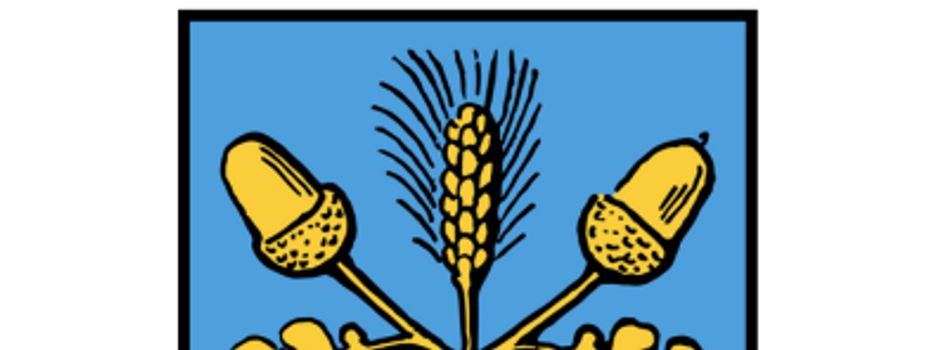 13. Gemeinderatssitzung Ilbesheim