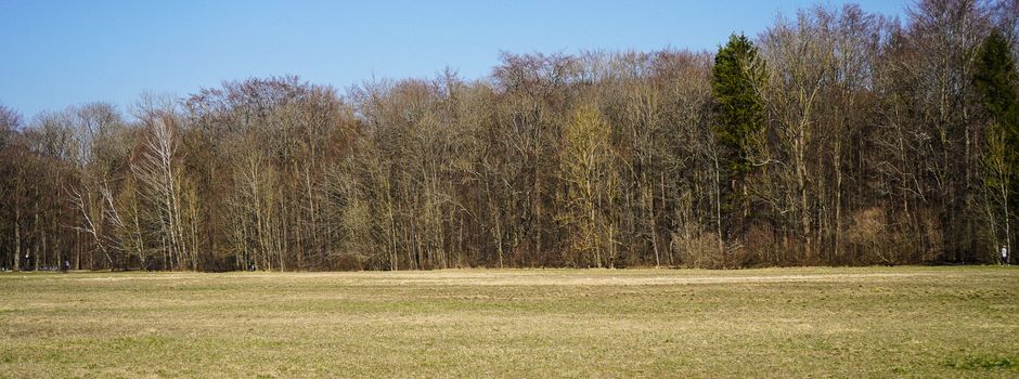 Ist unser Stadtwald in Gefahr?