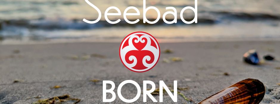 Born a. Darß startet eigene OrtsApp für Bürger und Gäste