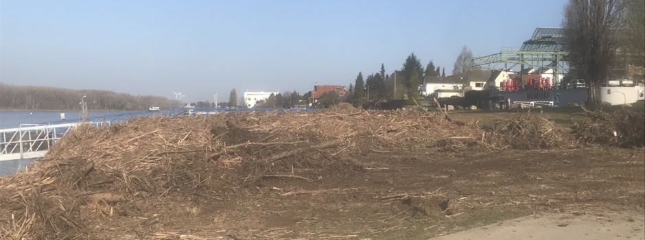 Treibholz – was für den einen ein bitteres Ärgernis, ist für andere eine Goldgrube