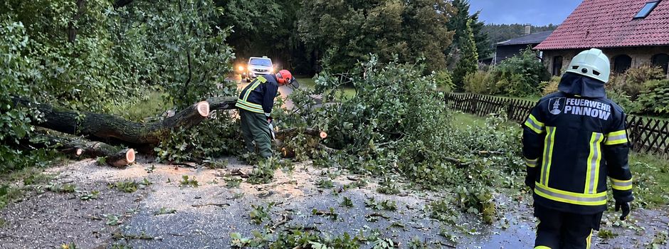 Einsatz für die Feuerwehr Pinnow