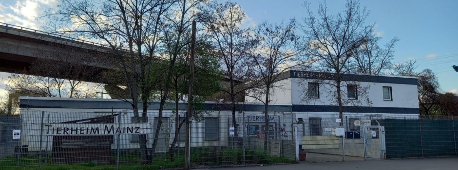 Hass-Brief an Mainzer Tierheim verschickt