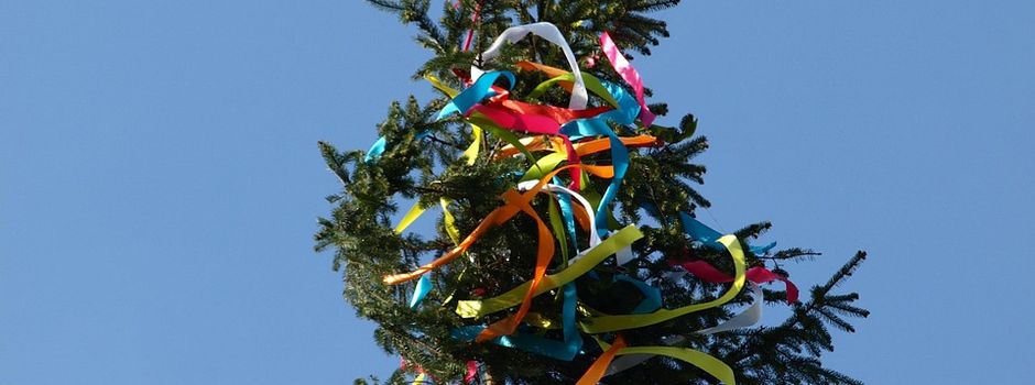 Maibaum stellen am 01.05.2026