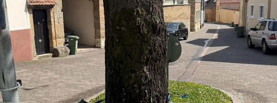 Neue Bewässerung für unsere Friedenseiche