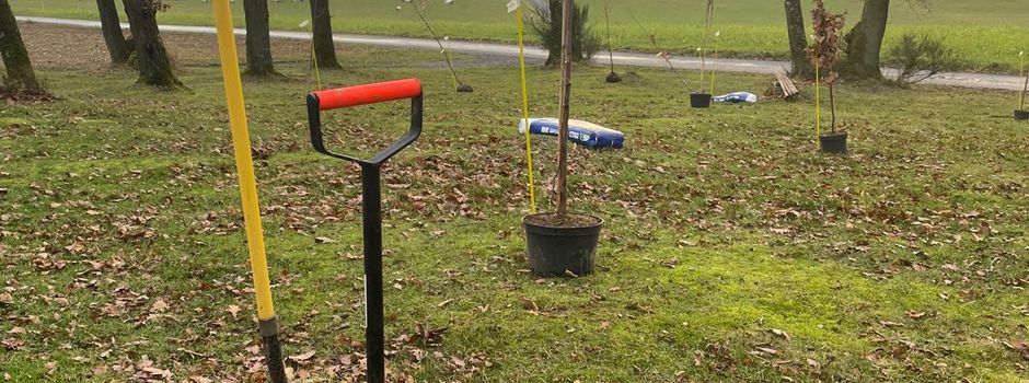 Zukunftsbäume rund um die Grillhütte