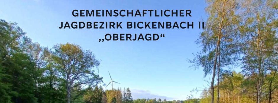 Bewegungsjagd am 05. Januar