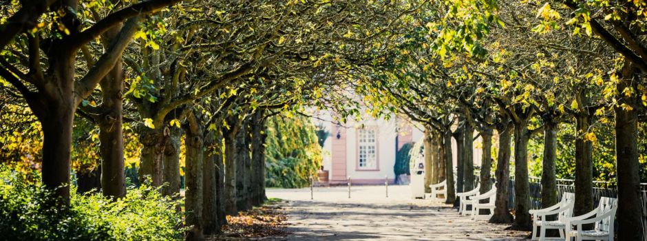So wird das Wetter in der Osterwoche in Mainz