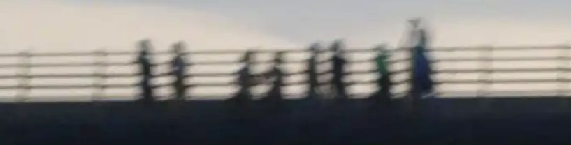 800 Jahre Oppenheim: Ausstellung blickt auf Geschichte, Gegenwart und Zukunft